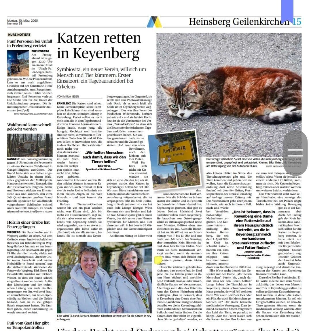 Katzenschutzverordnung im Kreis Heinsberg 2 Katzenschutzverordnung im Kreis Heinsberg Screenshot 20250313 164202 com.microsoft.office.officehubrow e1741932365527 Katzenschutzverordnung im Kreis Heinsberg